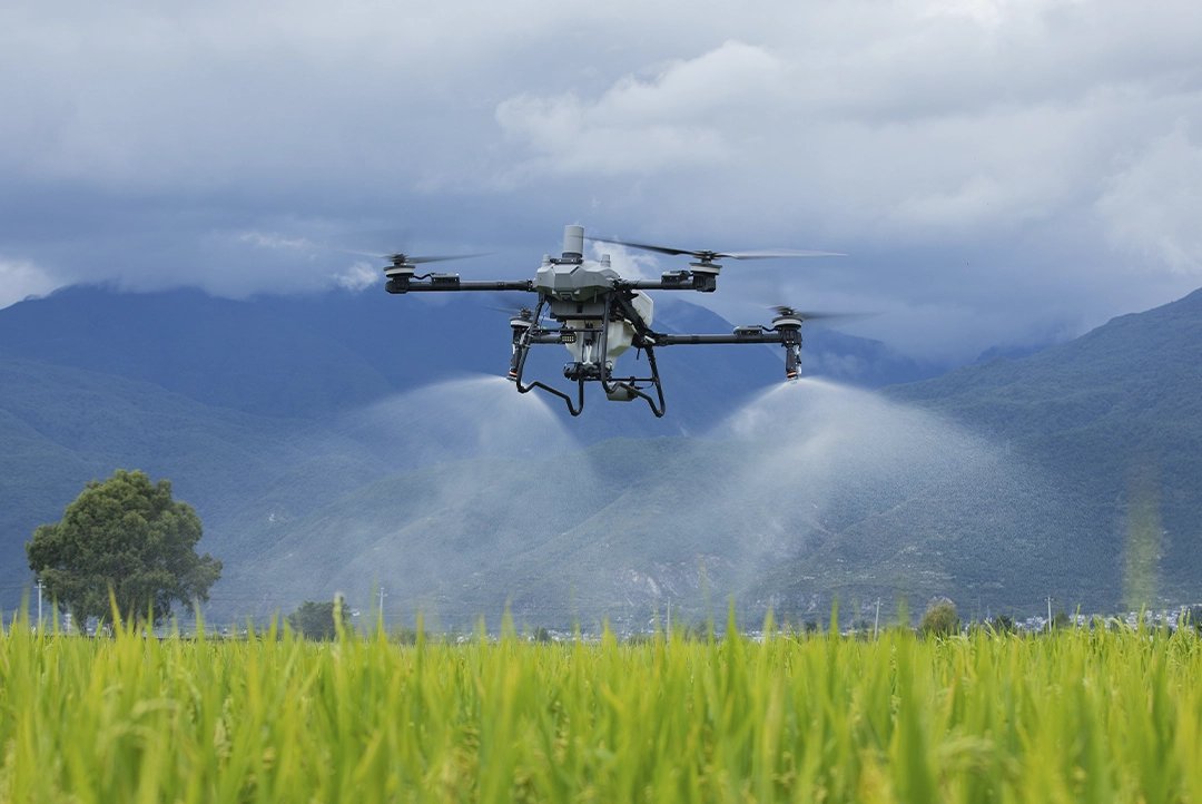 Dron agrícola aplicando